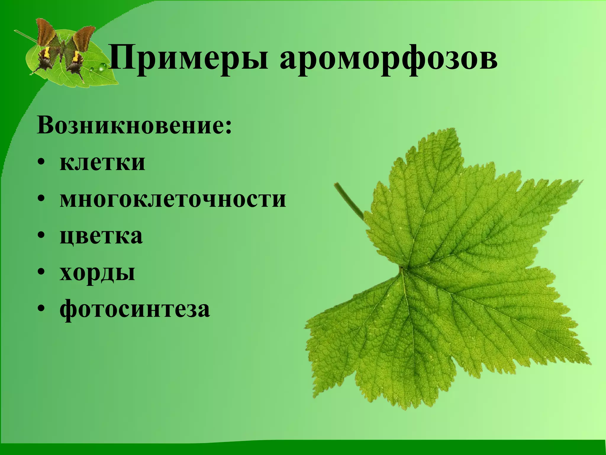 Примеры ароморфозов Возникновение: клетки многоклеточности цветка хорды фотосинтеза 