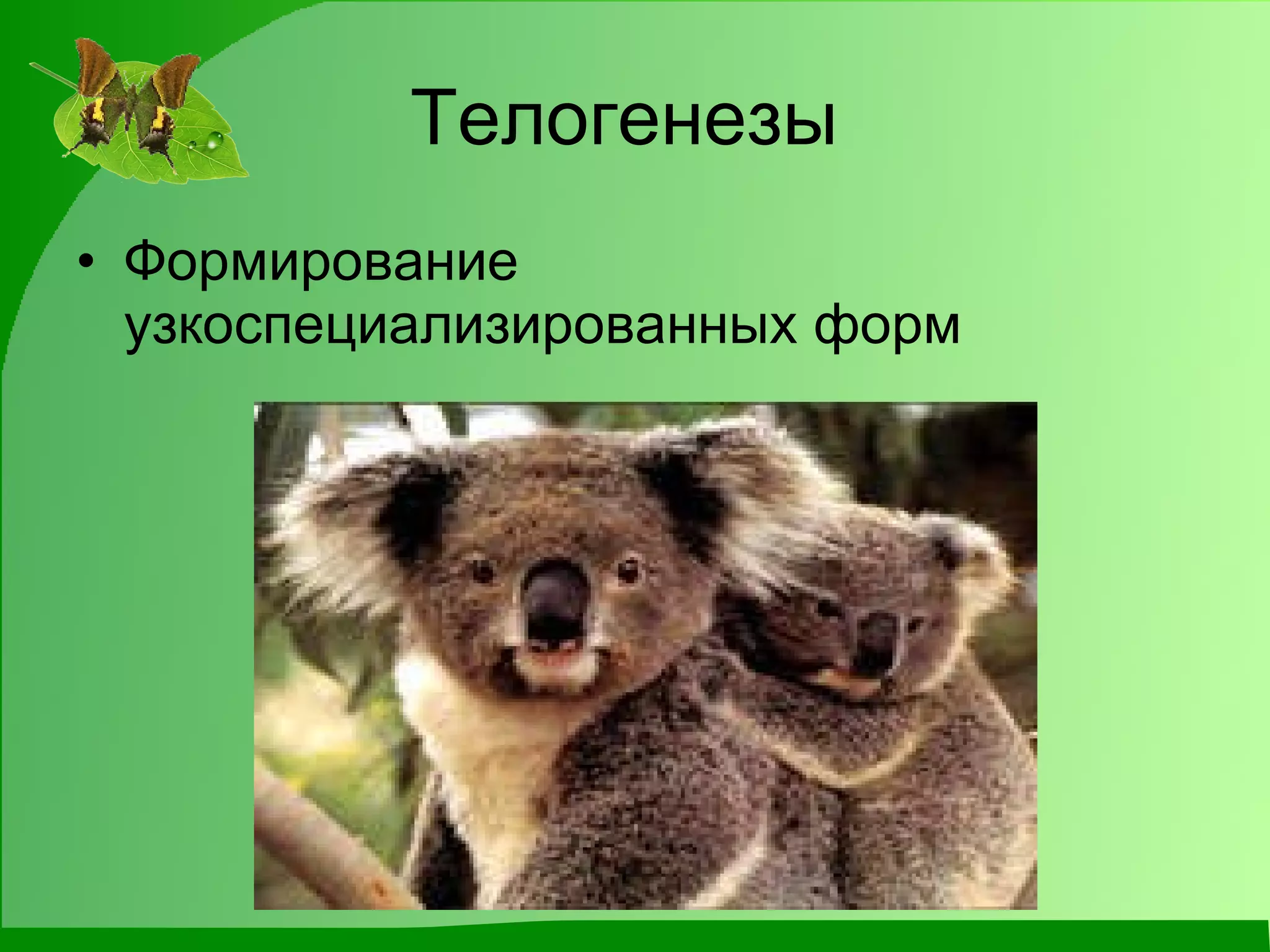 Телогенезы  Формирование узкоспециализированных форм 
