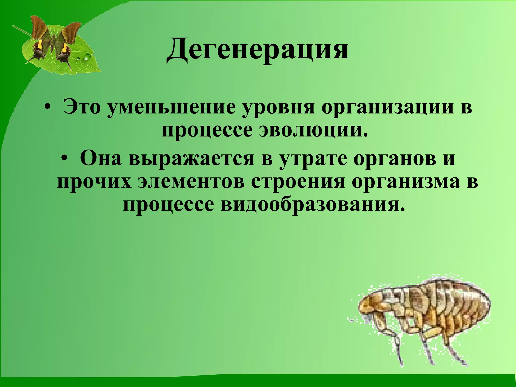 Дегенерация Это уменьшение уровня организации в процессе эволюции.  Она выражается в утрате органов и прочих элементов строения организма в процессе видообразования.  