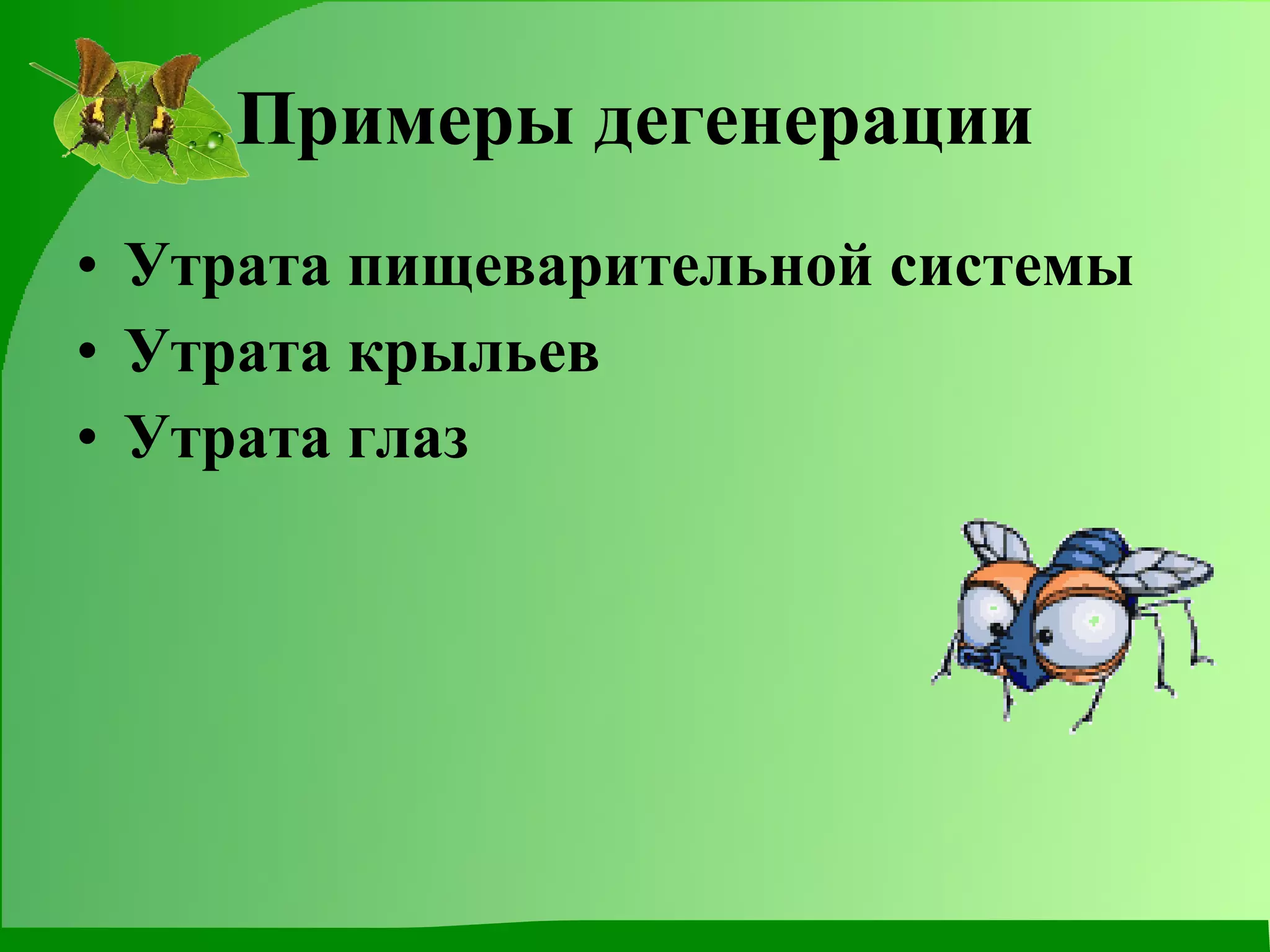 Примеры дегенерации Утрата пищеварительной системы Утрата крыльев Утрата глаз 