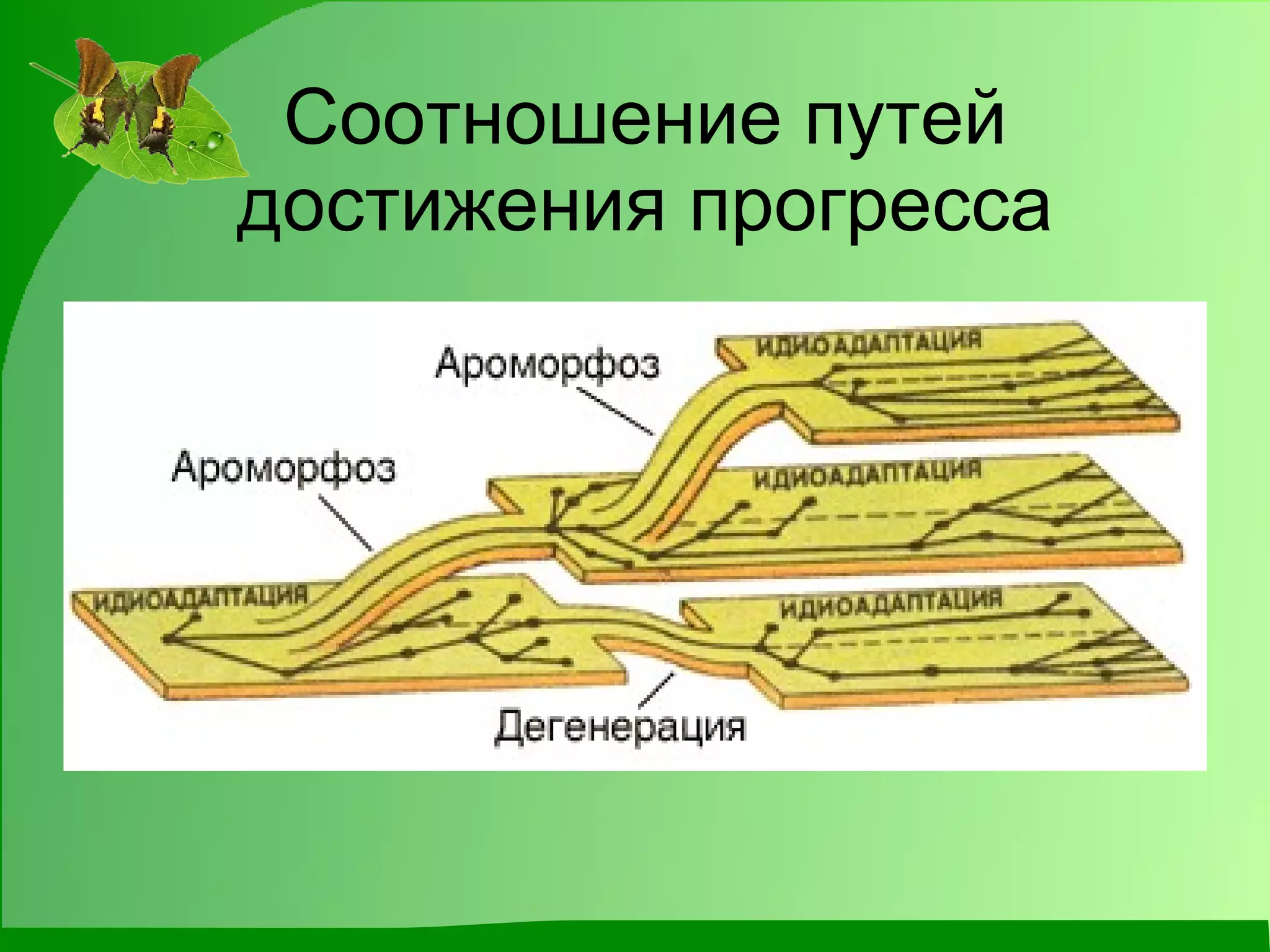 Соотношение путей достижения прогресса 