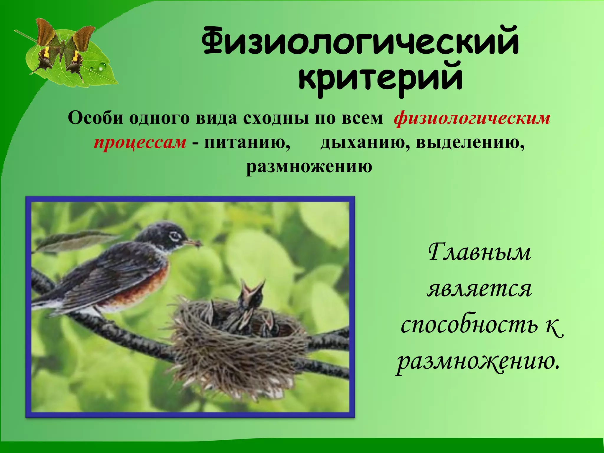 Физиологический критерий Особи одного вида сходны по всем   физиологическим   процессам  - питанию,  дыханию, выделению, размножению Главным является способность к размножению. 