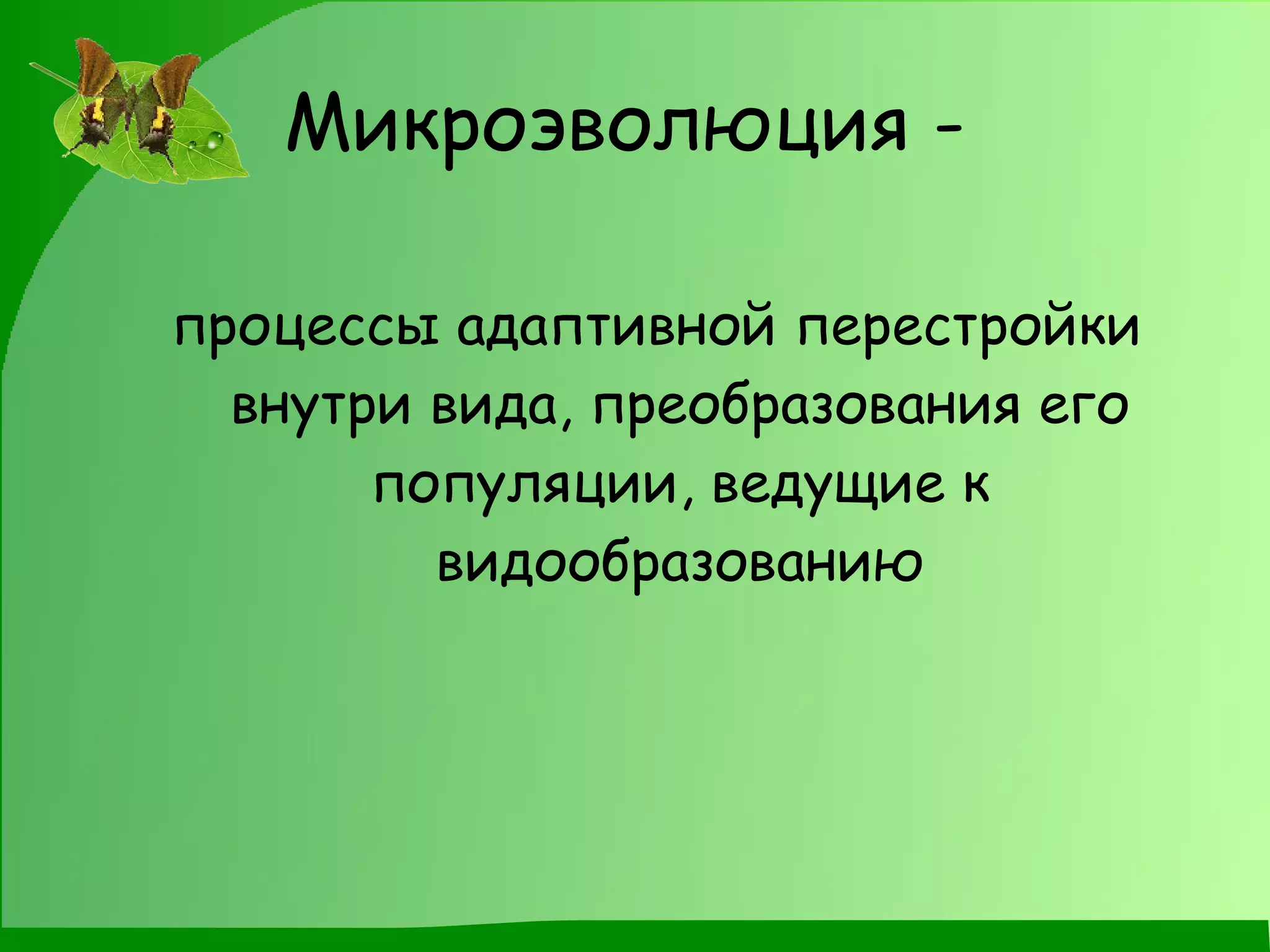 Микроэволюция -   процессы адаптивной перестройки внутри вида, преобразования его популяции, ведущие к видообразованию 