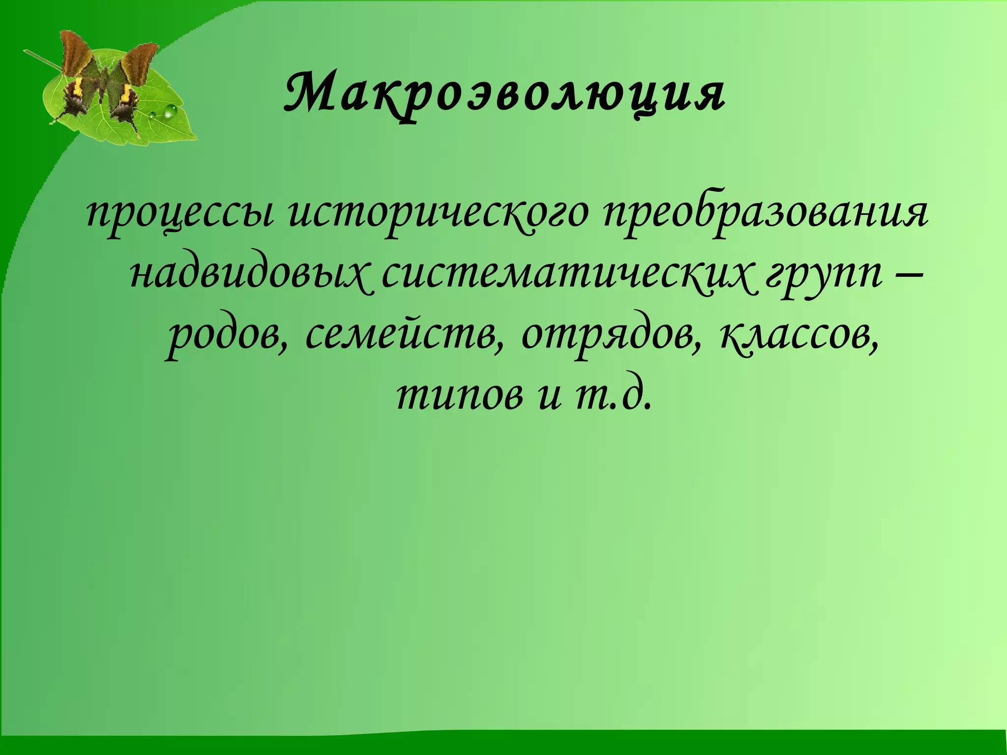 Макроэволюция процессы исторического преобразования надвидовых систематических групп – родов, семейств, отрядов, классов, типов и т.д. 