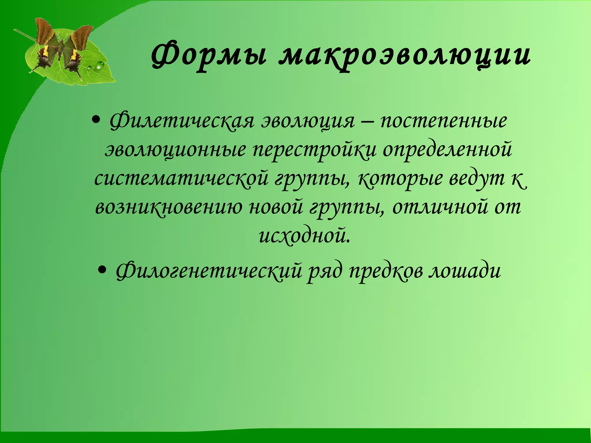 Формы макроэволюции Филетическая эволюция – постепенные эволюционные перестройки определенной систематической группы, которые ведут к возникновению новой группы, отличной от исходной.  Филогенетический ряд предков лошади 