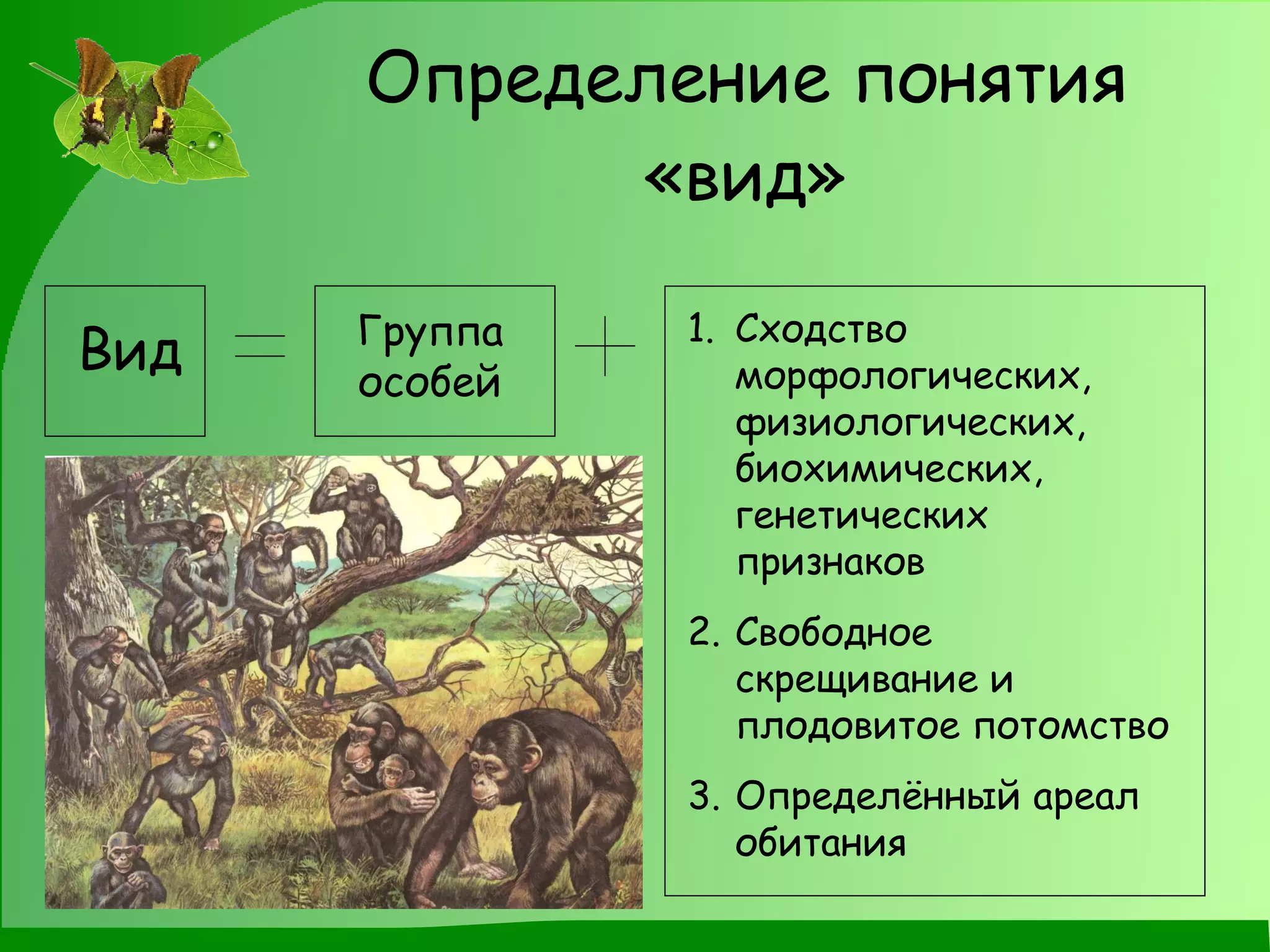 Определение понятия «вид» Вид Группа особей Сходство морфологических, физиологических, биохимических, генетических признаков Свободное скрещивание и плодовитое потомство Определённый ареал обитания 