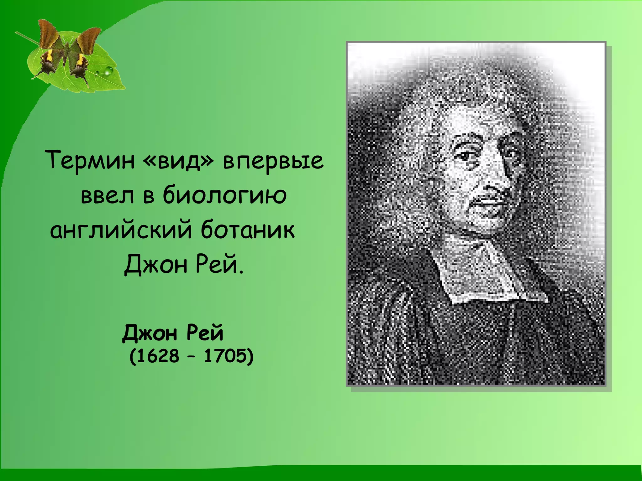 Термин «вид» впервые ввел в биологию английский ботаник  Джон Рей. Джон Рей  (1628 – 1705) 