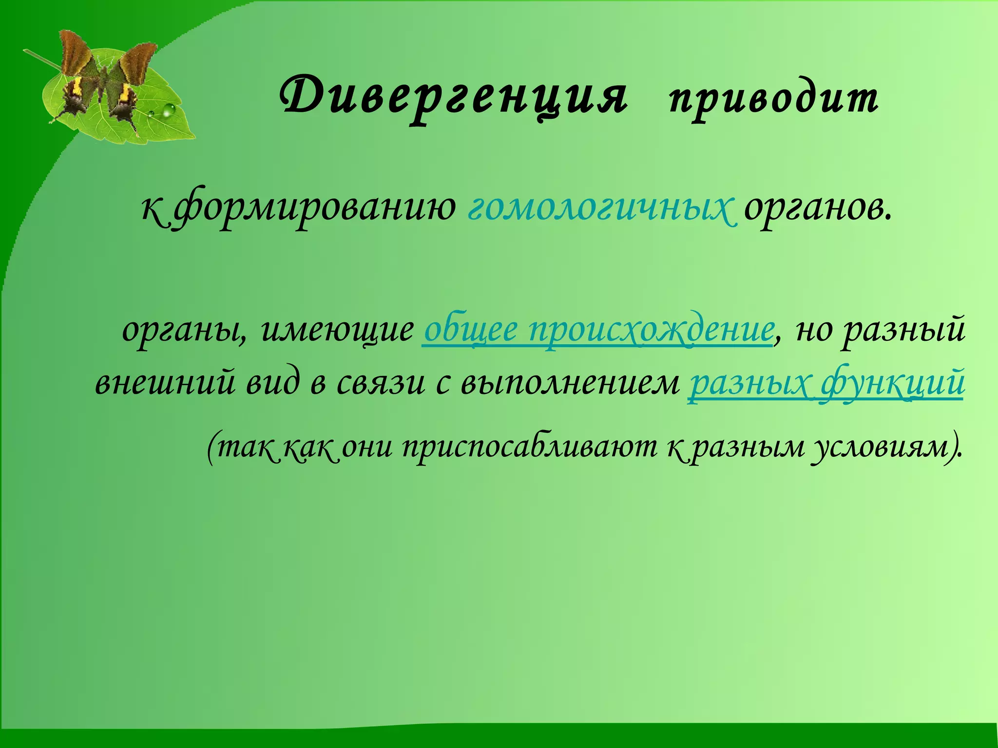 Дивергенция  приводит   к формированию  гомологичных  органов. органы, имеющие  общее происхождение , но разный внешний вид в связи с выполнением  разных функций (так как они приспосабливают к разным условиям). 