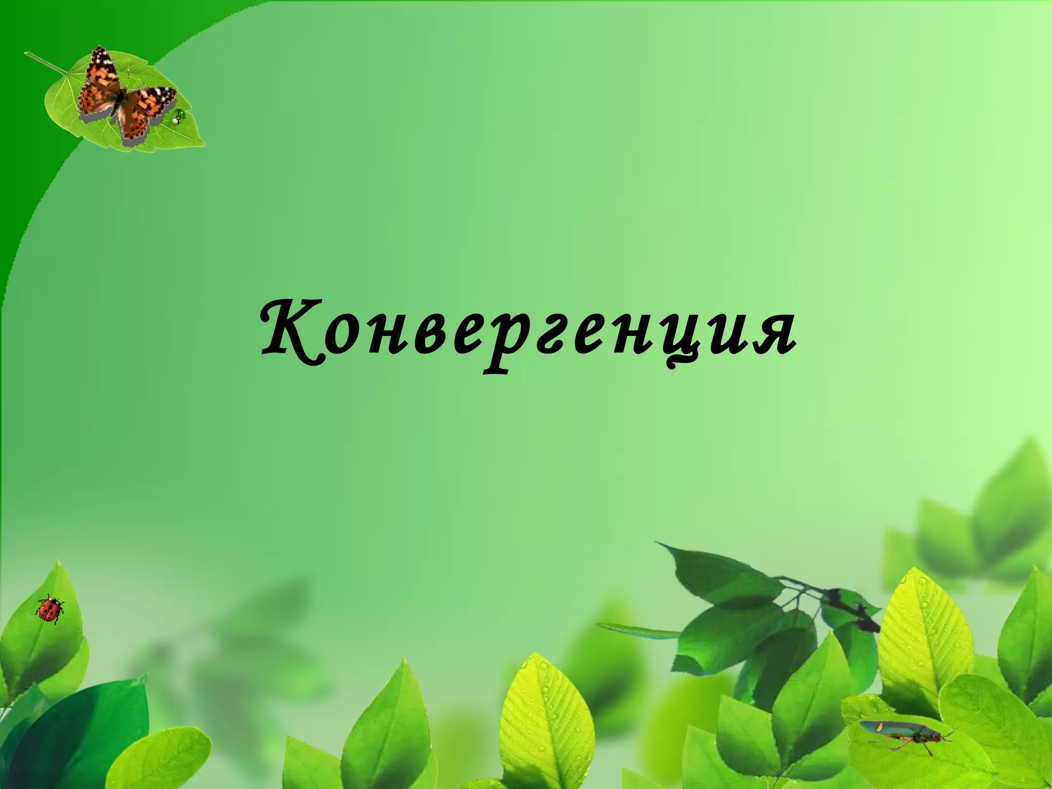 Конвергенция 