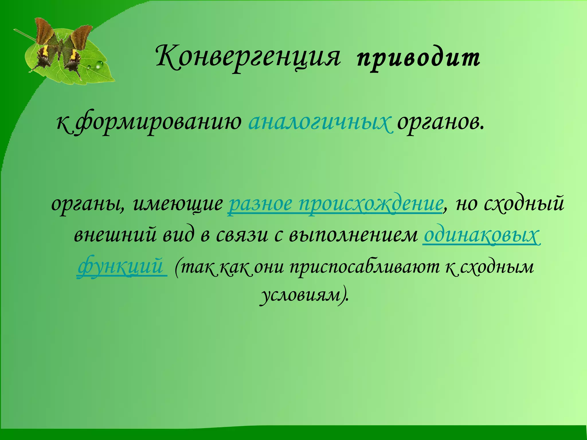 Конвергенция  приводит   к формированию  аналогичных  органов. органы, имеющие  разное происхождение , но сходный внешний вид в связи с выполнением  одинаковых функций   (так как они приспосабливают к сходным условиям). 