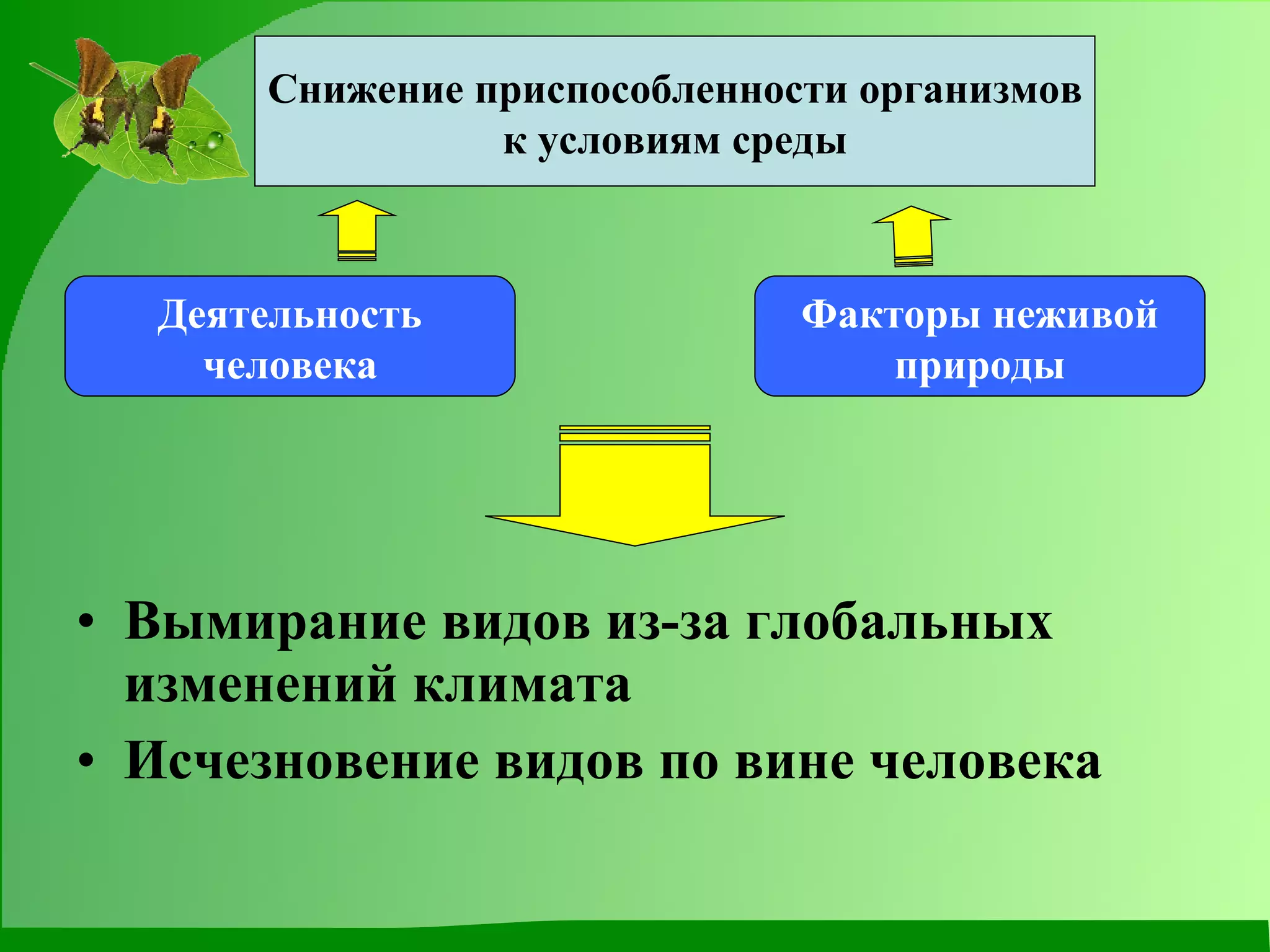 Вымирание видов из-за глобальных изменений климата Исчезновение видов по вине человека Снижение приспособленности организмов к условиям среды Деятельность человека Факторы неживой природы 