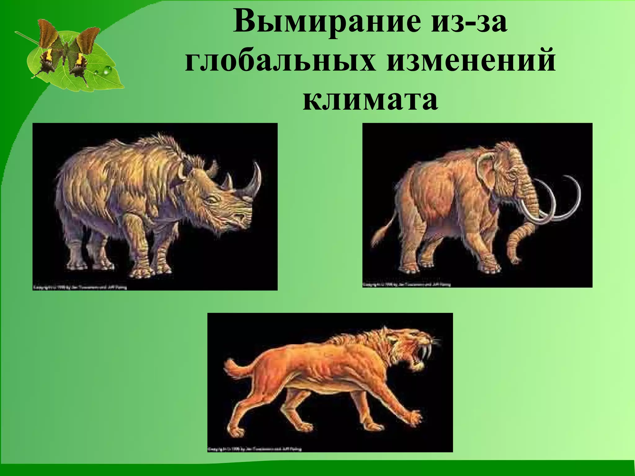 Вымирание из-за глобальных изменений климата 