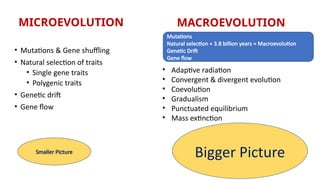 Comprehensive Exploration of Evolutionary Genetics and Mechanisms | PPTX