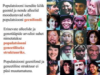 Populatsiooni isendite kõik geenid ja nende alleelid moodustavad selle populatsiooni  geenifondi . Erinevate alleelide ja genotüüpide arvulist suhet nimetatakse  populatsiooni geneetiliseks struktuuriks . Populatsiooni geenifond ja geneetiline struktuur ei püsi muutumatuna.   