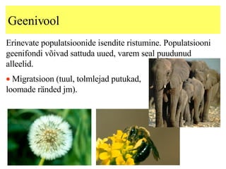 Geenivool Erinevate populatsioonide isendite ristumine. Populatsiooni geenifondi võivad sattuda uued, varem seal puudunud alleelid. Migratsioon (tuul, tolmlejad putukad, loomade ränded jm). 