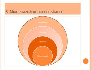 6. MIKORGAZDÁLKODÓI BESZÁMOLÓ

                Határértékek




                  Üzleti év




                 Vállalkozó




               Könyvvizsgálat
 