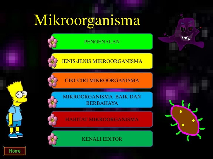 Mikroorganisma tahun 5