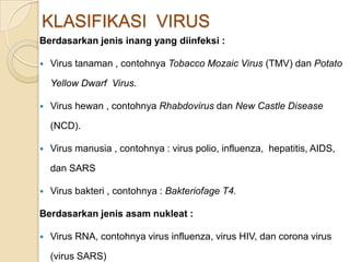 KLASIFIKASI VIRUS
Berdasarkan jenis inang yang diinfeksi :
 Virus tanaman , contohnya Tobacco Mozaic Virus (TMV) dan Potato
Yellow Dwarf Virus.
 Virus hewan , contohnya Rhabdovirus dan New Castle Disease
(NCD).
 Virus manusia , contohnya : virus polio, influenza, hepatitis, AIDS,
dan SARS
 Virus bakteri , contohnya : Bakteriofage T4.
Berdasarkan jenis asam nukleat :
 Virus RNA, contohnya virus influenza, virus HIV, dan corona virus
(virus SARS)
 
