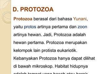 D. PROTOZOA
Protozoa berasal dari bahasa Yunani,
yaitu protos artinya pertama dan zoon
artinya hewan. Jadi, Protozoa adalah
hewan pertama. Protozoa merupakan
kelompok lain protista eukariotik.
Kebanyakan Protozoa hanya dapat dilihat
di bawah mikroskop. Habitat hidupnya
 