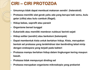 CIRI – CIRI PROTOZOA
 Umumnya tidak dapat membuat makanan sendiri (heterotrof)
 Protozoa memiliki alat gerak yaitu ada yang berupa kaki semu, bulu
getar (cillia) atau bulu cambuk (flagel).
 Hidup bebas, saprofit atau parasit
 Organisme bersel tunggal
 Eukariotik atau memiliki membran nukleus/ berinti sejati
 Hidup soliter (sendiri) atau berkoloni (kelompok)
 Dapat membentuk kista untuk bertahan hidup. Kista, merupakan
bentuk sel protozoa yang terdehidrasi dan berdinding tebal mirip
dengan endospora yang terjadi pada bakteri
 Protozoa mampu bertahan hidup dalam lingkungan kering maupun
basah.
 Protozoa tidak mempunyai dinding sel
 Protozoa merupakan organisme mikroskopis yang prokariot
 