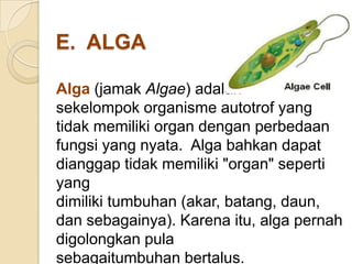E. ALGA
Alga (jamak Algae) adalah
sekelompok organisme autotrof yang
tidak memiliki organ dengan perbedaan
fungsi yang nyata. Alga bahkan dapat
dianggap tidak memiliki "organ" seperti
yang
dimiliki tumbuhan (akar, batang, daun,
dan sebagainya). Karena itu, alga pernah
digolongkan pula
sebagaitumbuhan bertalus.
 