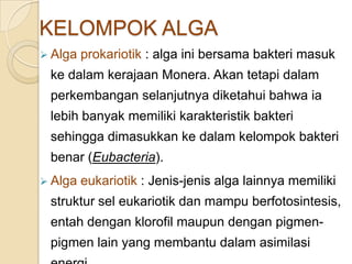 KELOMPOK ALGA
 Alga prokariotik : alga ini bersama bakteri masuk
ke dalam kerajaan Monera. Akan tetapi dalam
perkembangan selanjutnya diketahui bahwa ia
lebih banyak memiliki karakteristik bakteri
sehingga dimasukkan ke dalam kelompok bakteri
benar (Eubacteria).
 Alga eukariotik : Jenis-jenis alga lainnya memiliki
struktur sel eukariotik dan mampu berfotosintesis,
entah dengan klorofil maupun dengan pigmen-
pigmen lain yang membantu dalam asimilasi
 