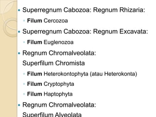 Superregnum Cabozoa: Regnum Rhizaria:
◦ Filum Cercozoa
 Superregnum Cabozoa: Regnum Excavata:
◦ Filum Euglenozoa
 Regnum Chromalveolata:
Superfilum Chromista
◦ Filum Heterokontophyta (atau Heterokonta)
◦ Filum Cryptophyta
◦ Filum Haptophyta
 Regnum Chromalveolata:
 