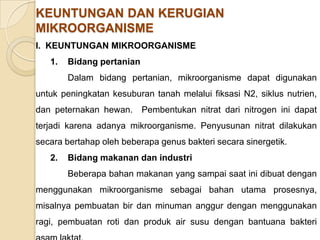 KEUNTUNGAN DAN KERUGIAN
MIKROORGANISME
I. KEUNTUNGAN MIKROORGANISME
1. Bidang pertanian
Dalam bidang pertanian, mikroorganisme dapat digunakan
untuk peningkatan kesuburan tanah melalui fiksasi N2, siklus nutrien,
dan peternakan hewan. Pembentukan nitrat dari nitrogen ini dapat
terjadi karena adanya mikroorganisme. Penyusunan nitrat dilakukan
secara bertahap oleh beberapa genus bakteri secara sinergetik.
2. Bidang makanan dan industri
Beberapa bahan makanan yang sampai saat ini dibuat dengan
menggunakan mikroorganisme sebagai bahan utama prosesnya,
misalnya pembuatan bir dan minuman anggur dengan menggunakan
ragi, pembuatan roti dan produk air susu dengan bantuana bakteri
 