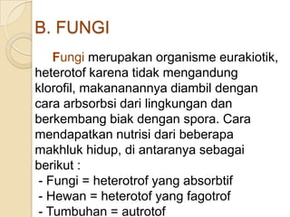 B. FUNGI
Fungi merupakan organisme eurakiotik,
heterotof karena tidak mengandung
klorofil, makananannya diambil dengan
cara arbsorbsi dari lingkungan dan
berkembang biak dengan spora. Cara
mendapatkan nutrisi dari beberapa
makhluk hidup, di antaranya sebagai
berikut :
- Fungi = heterotrof yang absorbtif
- Hewan = heterotof yang fagotrof
- Tumbuhan = autrotof
 