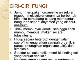CIRI-CIRI FUNGI
1. Jamur merupakan organisme uniseluler
maupun multiseluler umumnya berbentuk
hifa, hifa bercabang-cabang membentuk
bangunan seperti anyaman yang disebut
miselium.
2. Tidak mempunyai klorofil, sehingga tidak
mampu membuat makan secara
fotosintesis.
3. Hidup secara heterotof dengan jalan
saprofit (menguraikan sampah organik ),
parasit (merugikan organisme lain), dan
simbiosis.
4. Struktur sel eukariotik, memiliki dinding sel
yang terbuat dari kitin.
 