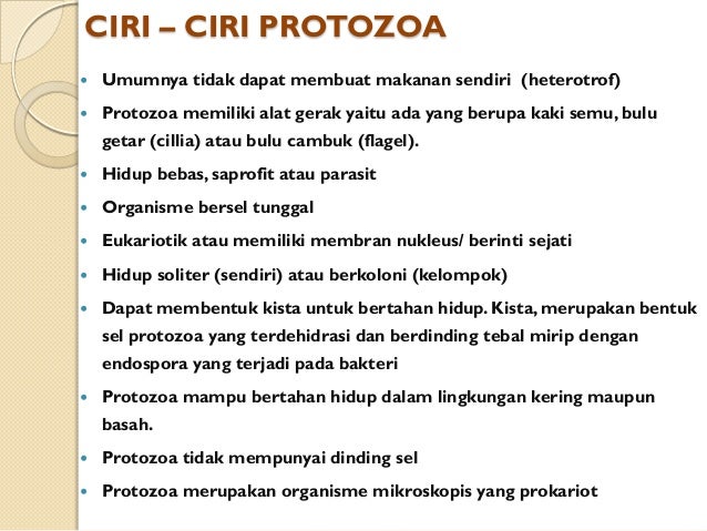 Mikroorganisme