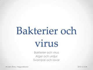 Bakterier och virus Bakterier och virus Alger och urdjur Svampar och lavar 2010-12-16 Malin Åhrby, Häggvallskolan 