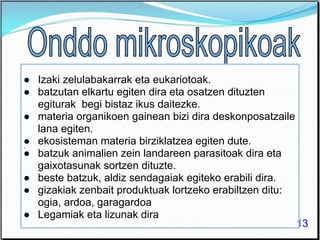13
● Izaki zelulabakarrak eta eukariotoak.
● batzutan elkartu egiten dira eta osatzen dituzten
egiturak begi bistaz ikus daitezke.
● materia organikoen gainean bizi dira deskonposatzaile
lana egiten.
● ekosisteman materia birziklatzea egiten dute.
● batzuk animalien zein landareen parasitoak dira eta
gaixotasunak sortzen dituzte.
● beste batzuk, aldiz sendagaiak egiteko erabili dira.
● gizakiak zenbait produktuak lortzeko erabiltzen ditu:
ogia, ardoa, garagardoa
● Legamiak eta lizunak dira
.
 