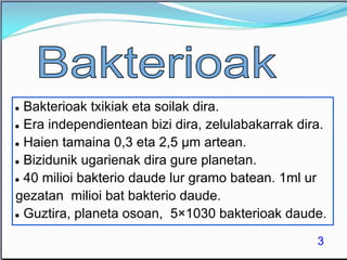 ● Bakterioak txikiak eta soilak dira.
● Era independientean bizi dira, zelulabakarrak dira.
● Haien tamaina 0,3 eta 2,5 μm artean.
● Bizidunik ugarienak dira gure planetan.
● 40 milioi bakterio daude lur gramo batean. 1ml ur
gezatan milioi bat bakterio daude.
● Guztira, planeta osoan, 5×1030 bakterioak daude.
3
 
