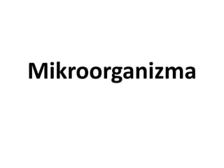 Mikroorganizma
 