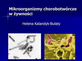 Mikroorganizmy chorobotwórcze
w żywności

     Helena Kalandyk-Bułaty




                              1