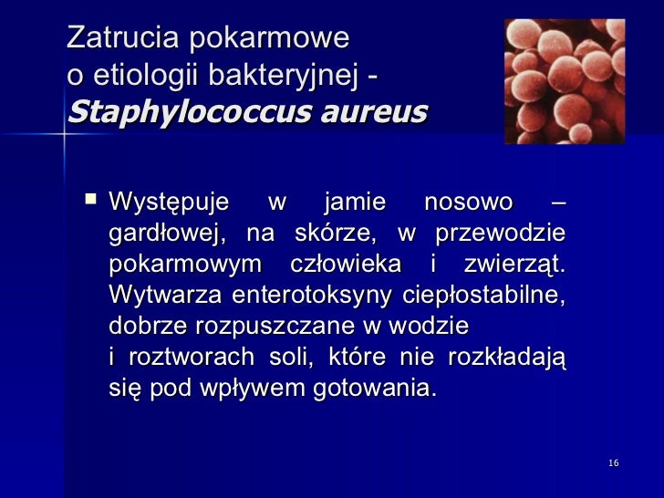 Mikroorganizmy Znajdujące Się W Przewodzie Pokarmowym Roślinożerców Mikroorganizmy chorobotwórcze w żywności