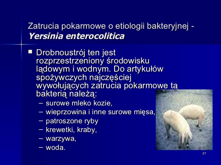 Mikroorganizmy Znajdujące Się W Przewodzie Pokarmowym Roślinożerców Mikroorganizmy chorobotwórcze w żywności