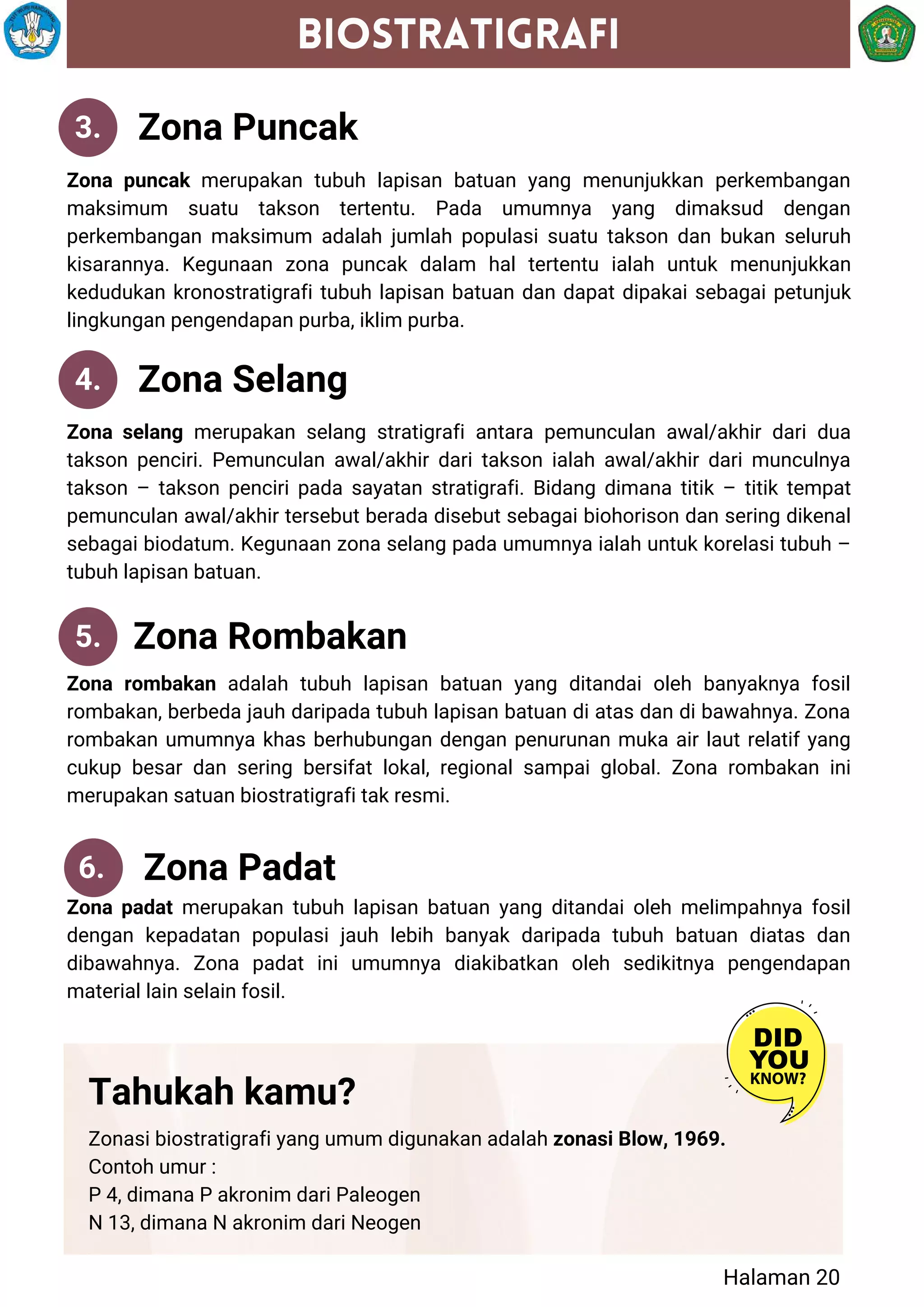 Mikropaleontologi.pdf