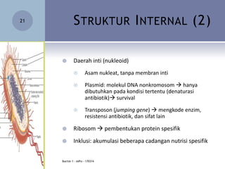 STRUKTUR INTERNAL (2)
 Daerah inti (nukleoid)
 Asam nukleat, tanpa membran inti
 Plasmid: molekul DNA nonkromosom  hanya
dibutuhkan pada kondisi tertentu (denaturasi
antibiotik) survival
 Transposon (jumping gene)  mengkode enzim,
resistensi antibiotik, dan sifat lain
 Ribosom  pembentukan protein spesifik
 Inklusi: akumulasi beberapa cadangan nutrisi spesifik
21
BAKTERI 1 - DRPHI - 170314
 