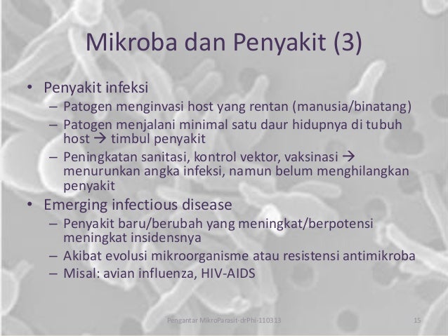 Contoh Evolusi Binatang - Absurd Things