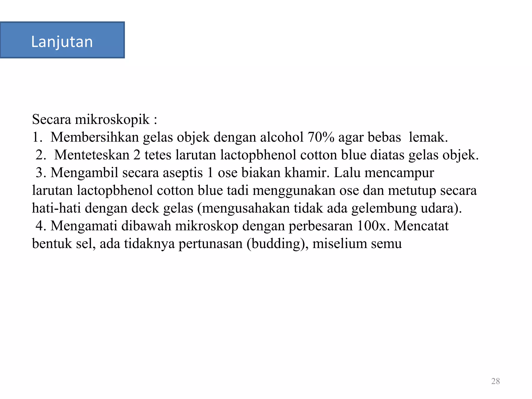 28
Lanjutan
Secara mikroskopik :
1. Membersihkan gelas objek dengan alcohol 70% agar bebas lemak.
2. Menteteskan 2 tetes larutan lactopbhenol cotton blue diatas gelas objek.
3. Mengambil secara aseptis 1 ose biakan khamir. Lalu mencampur
larutan lactopbhenol cotton blue tadi menggunakan ose dan metutup secara
hati-hati dengan deck gelas (mengusahakan tidak ada gelembung udara).
4. Mengamati dibawah mikroskop dengan perbesaran 100x. Mencatat
bentuk sel, ada tidaknya pertunasan (budding), miselium semu
 