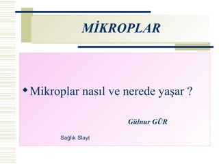 MİKROPLAR ,[object Object],[object Object],Sağlık Slayt 