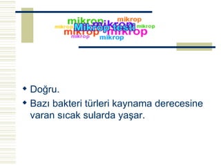 Doğru. Bazı bakteri türleri kaynama derecesine varan sıcak sularda yaşar.   
