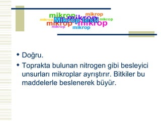 Doğru. Toprakta bulunan nitrogen gibi besleyici unsurları mikroplar ayrıştırır. Bitkiler bu maddelerle beslenerek büyür.   