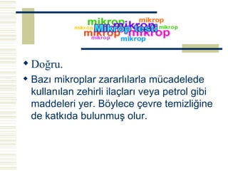 Doğru. Bazı mikroplar zararlılarla mücadelede kullanılan zehirli ilaçları veya petrol gibi maddeleri yer. Böylece çevre temizliğine de katkıda bulunmuş olur.   