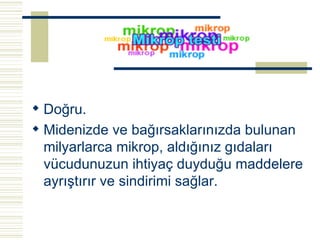 Doğru. Midenizde ve bağırsaklarınızda bulunan milyarlarca mikrop, aldığınız gıdaları vücudunuzun ihtiyaç duyduğu maddelere ayrıştırır ve sindirimi sağlar.   