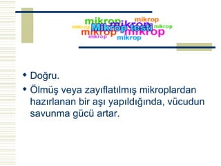 Doğru. Ölmüş veya zayıflatılmış mikroplardan hazırlanan bir aşı yapıldığında, vücudun savunma gücü artar.   