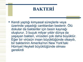 Kendi yaptığı kimyasal süreçlerle veya üzerinde yaşadığı canlılardan beslenir. Ölü dokular da bakteriler için besin kaynağı oluşturur. 3 buçuk milyar yıldır dünya da yaşayan bakteri, virüsden çok daha büyüktür. Eğer bir virüsün insan büyüklüğünde olsaydı, bir bakterinin Amerika'nın New York'taki Hürriyet Heykeli büyüklüğünde olması gerekirdi   BAKTERİ 
