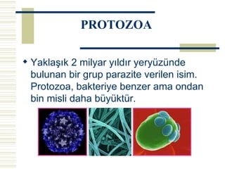 Yaklaşık 2 milyar yıldır yeryüzünde bulunan bir grup parazite verilen isim. Protozoa, bakteriye benzer ama ondan bin misli daha büyüktür.   PROTOZOA 